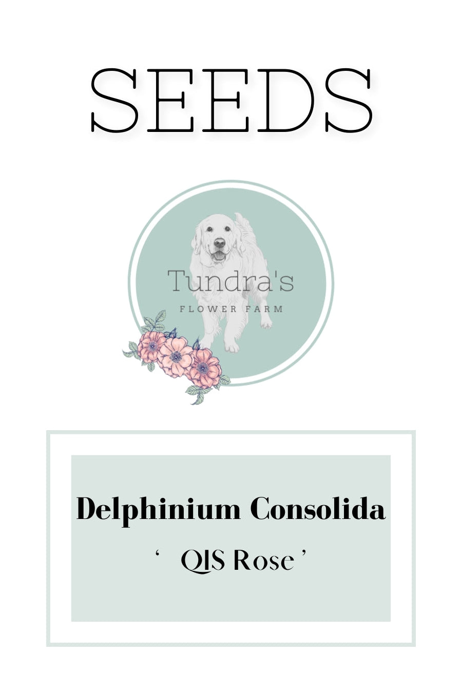 larkspur qis rose seeds Delphinium Consolida Seeds - Larkspur Seeds