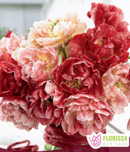 Load image into Gallery viewer, Pep Talk Tulip Bulbs