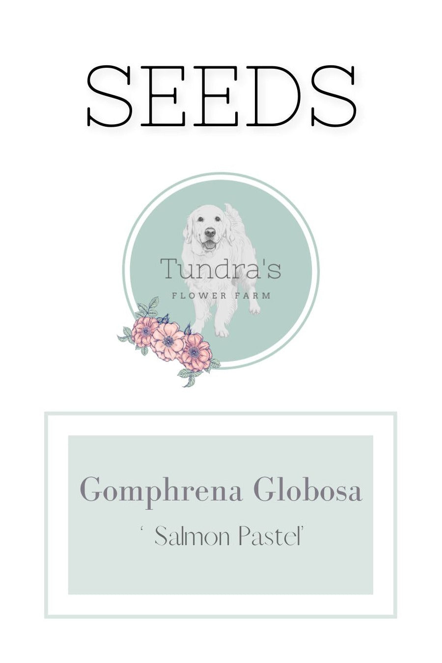 Gomphrena Globosa Seeds - Salmon Pastel