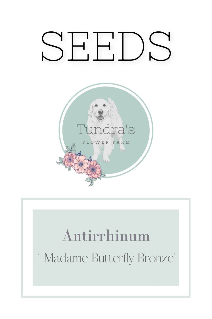 Antirrhinum Seeds - Madame Butterfly Bronze