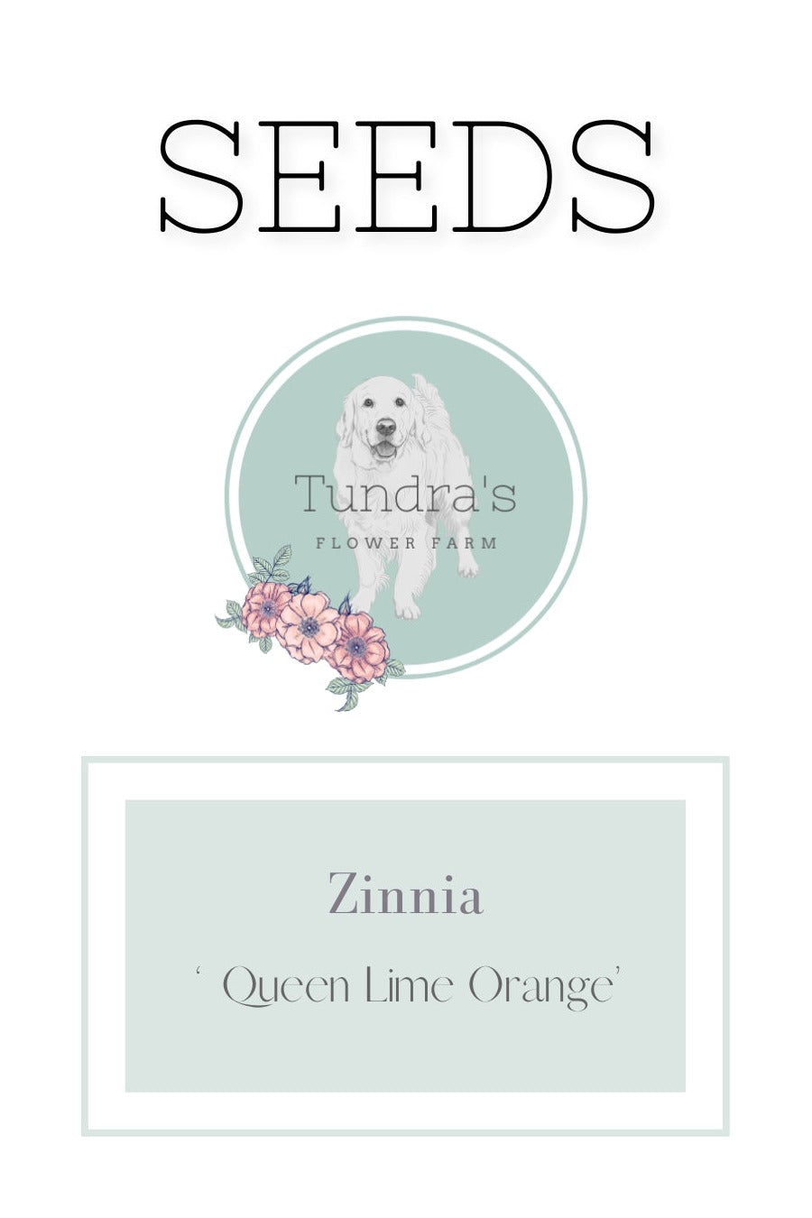 Zinnia Seeds - Queen Lime Orange