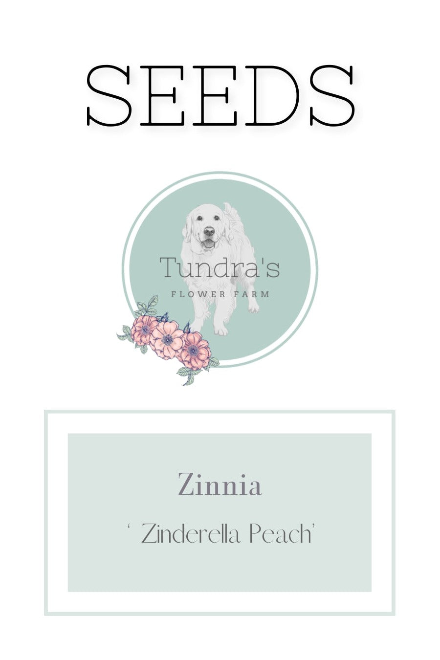 Zinnia Seeds - Zinderella Peach