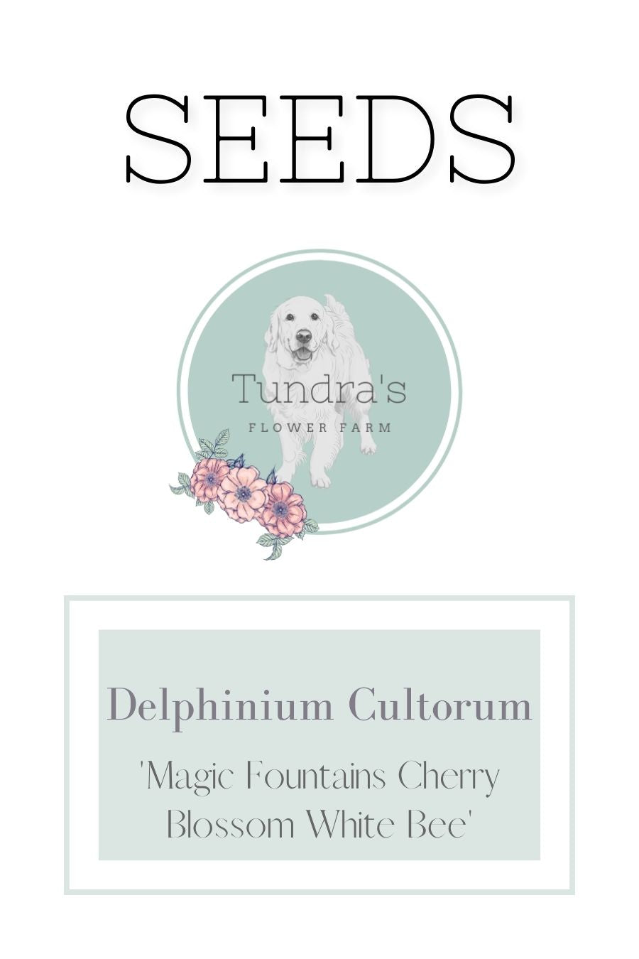 Delphinium Cultorum Seeds - Magic Fountains Cherry Blossom