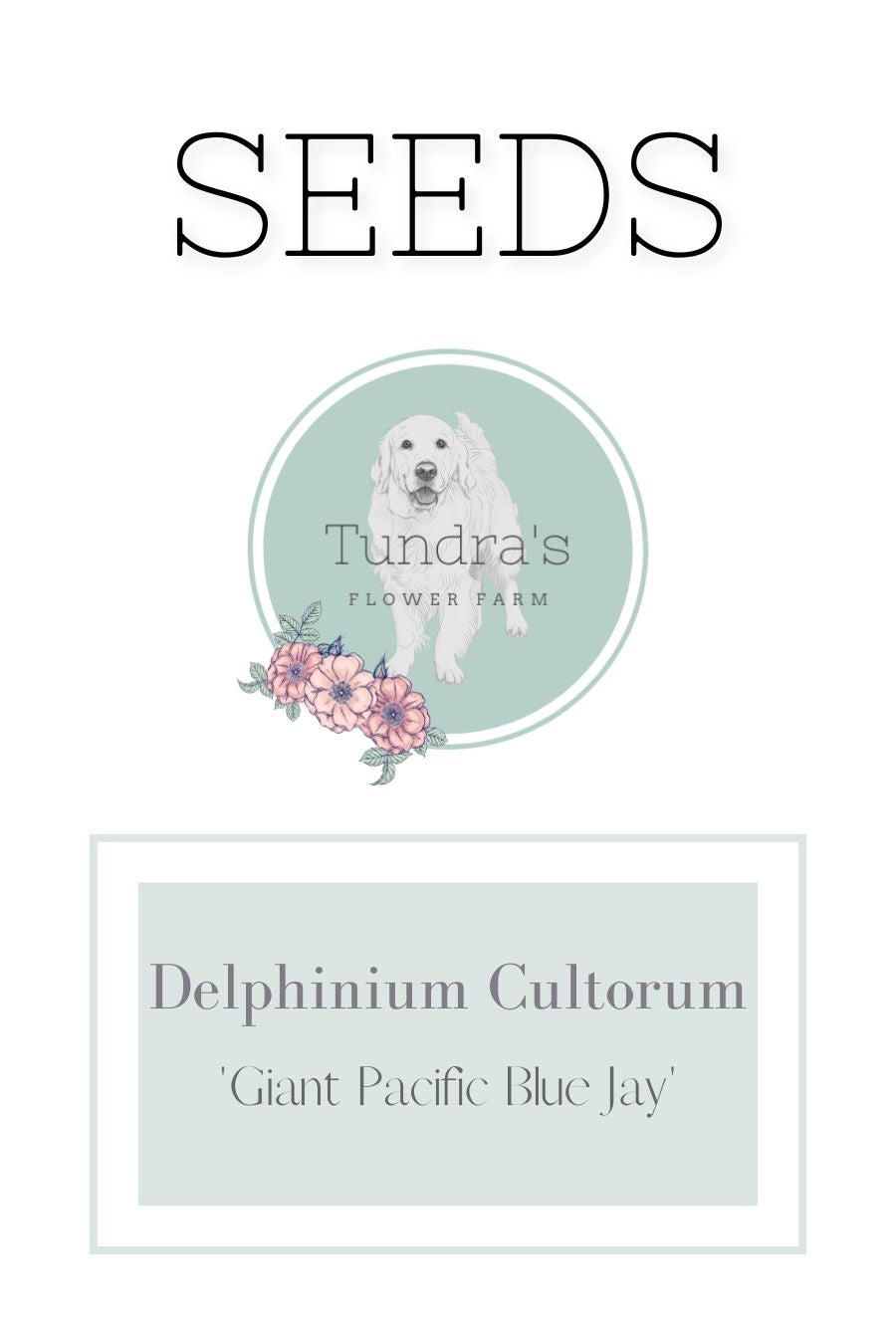 Delphinium Cultorum Seeds - Giant Pacific Blue Jay