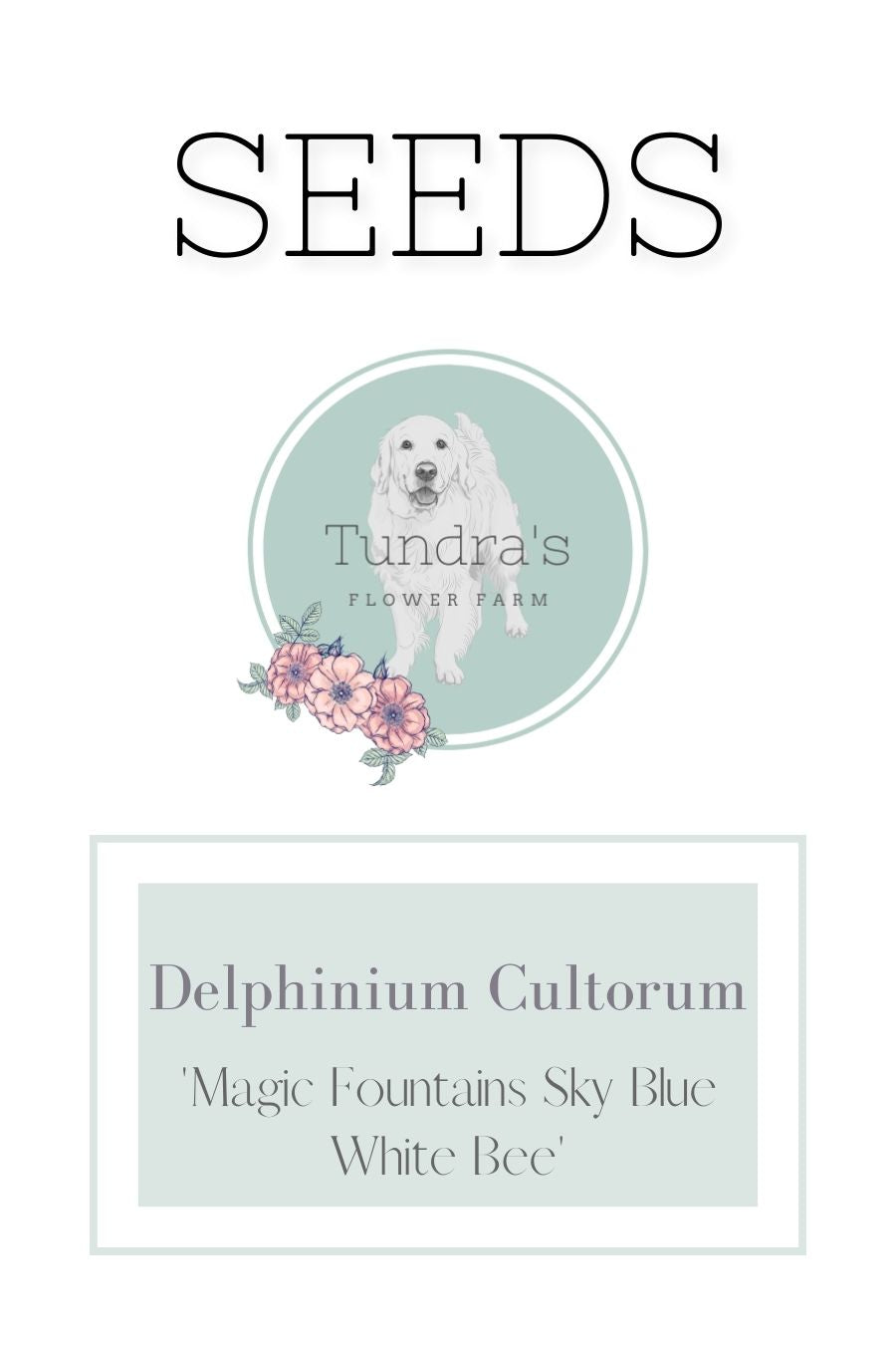 Delphinium Cultorum Seeds - Magic Fountains Sky Blue White Bee
